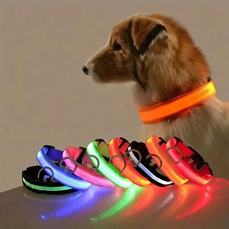 🐾 Fluorescencyjna obroża i smycz dla psa – LED