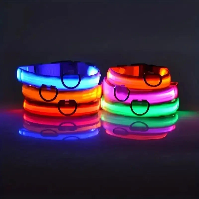 🐾 Fluorescencyjna obroża i smycz dla psa – LED