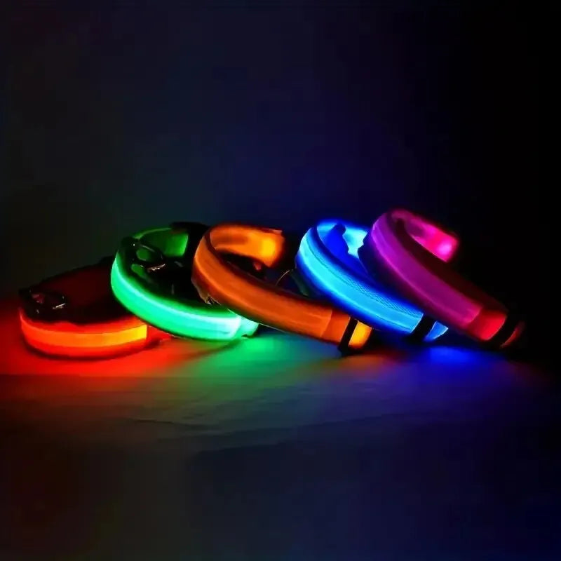 🐾 Fluorescencyjna obroża i smycz dla psa – LED