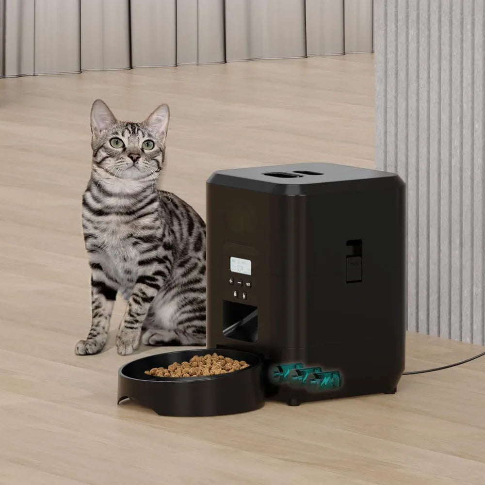 Automatyczny karmnik dla kota z wyświetlaczem LCD 🐱🍲