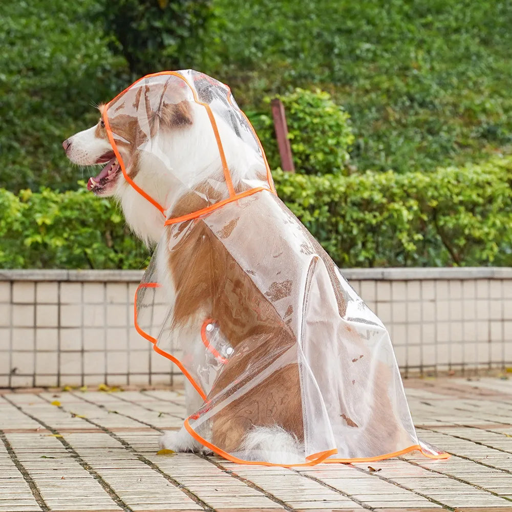 🌧️ Przezroczysta Kurtka Przeciwdeszczowa dla Psów