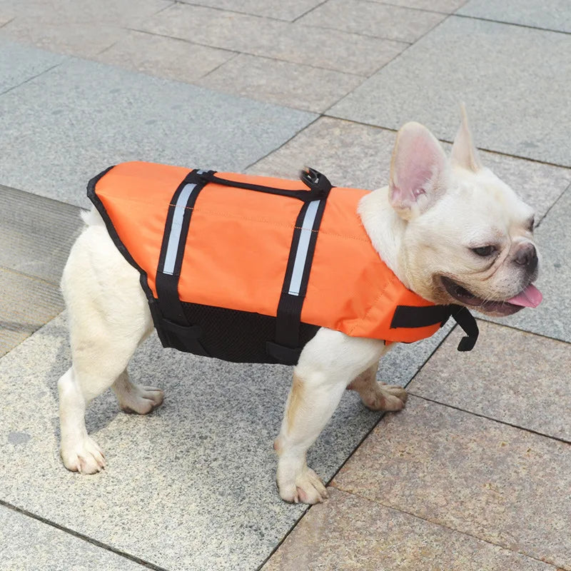 🐾 Kamizelka ratunkowa dla psa – Summer Dog Life Vest Jacket 🐕💦