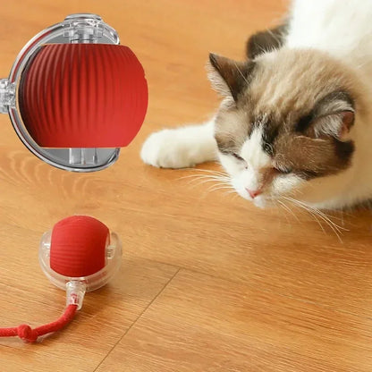 🐾 Elektryczna Interaktywna Kulka dla Kota 🐾