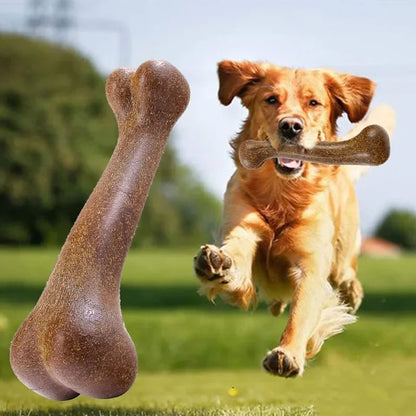 Zabawka do Żucia dla Psa 🐶🦴 – Wytrzymała i Bezpieczna
