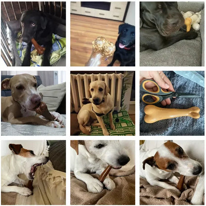 Zabawka do Żucia dla Psa 🐶🦴 – Wytrzymała i Bezpieczna