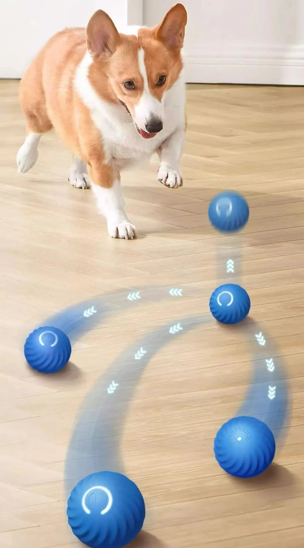 Inteligentna Skacząca Piłka dla Psa 🐶⚡