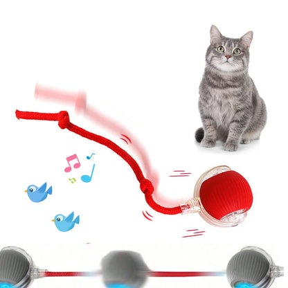 🐾 Elektryczna Interaktywna Kulka dla Kota 🐾