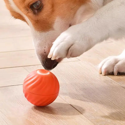 Inteligentna Skacząca Piłka dla Psa 🐶⚡