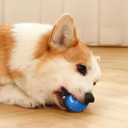 Inteligentna Skacząca Piłka dla Psa 🐶⚡
