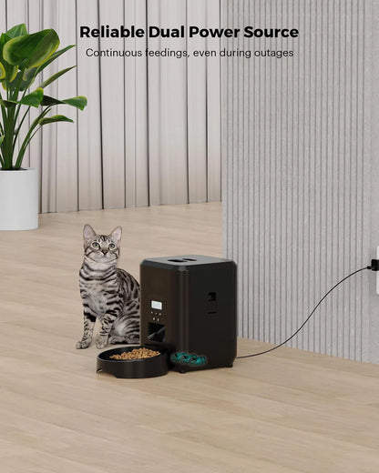 Automatyczny karmnik dla kota z wyświetlaczem LCD 🐱🍲