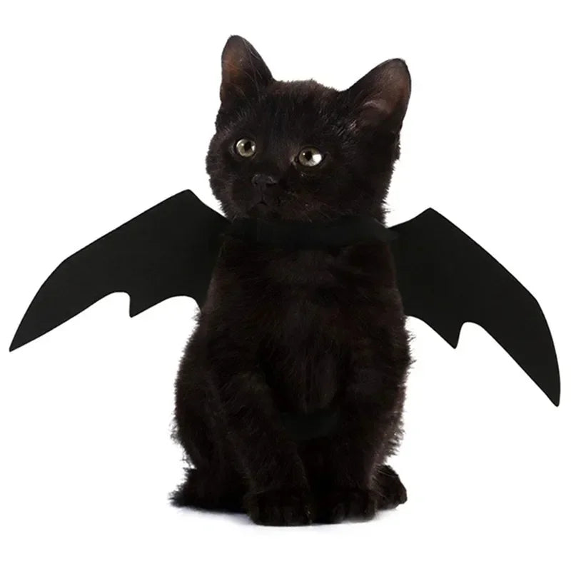 🦇 Halloweenowy Kostium dla Kota – Skrzydła Nietoperza