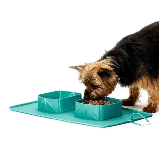 Składana Miska Podróżna dla Psa i Kota 🐶🐱 – 600ml