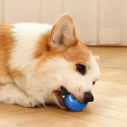 Inteligentna Skacząca Piłka dla Psa 🐶⚡