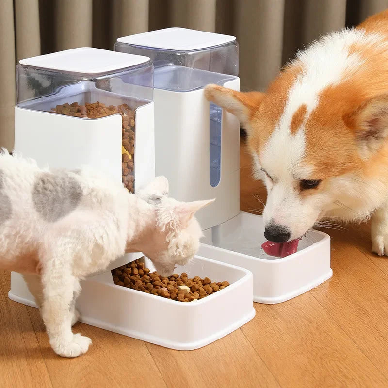 Automatyczny dozownik wody i karmy dla małych zwierząt 🐶🐱💧