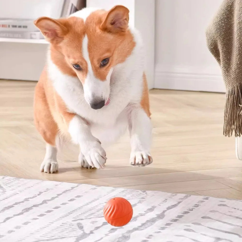 Inteligentna Skacząca Piłka dla Psa 🐶⚡