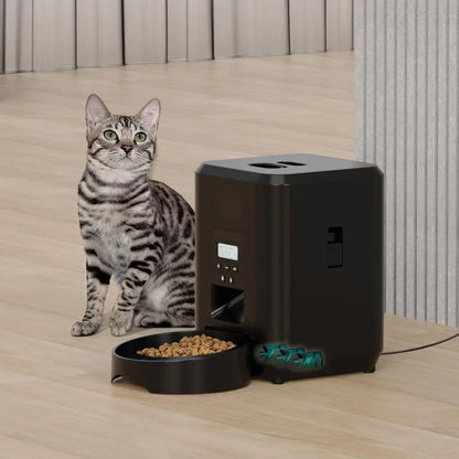Automatyczny karmnik dla kota z wyświetlaczem LCD 🐱🍲