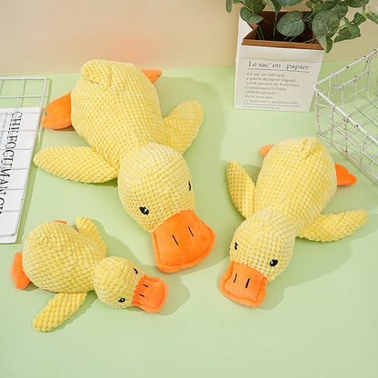 🦆 Interaktywna Kaczka Piszczałka dla Psa – Booteely 🐾
