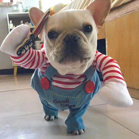 Halloweenowe Ubranko dla Psa 🐶🎃