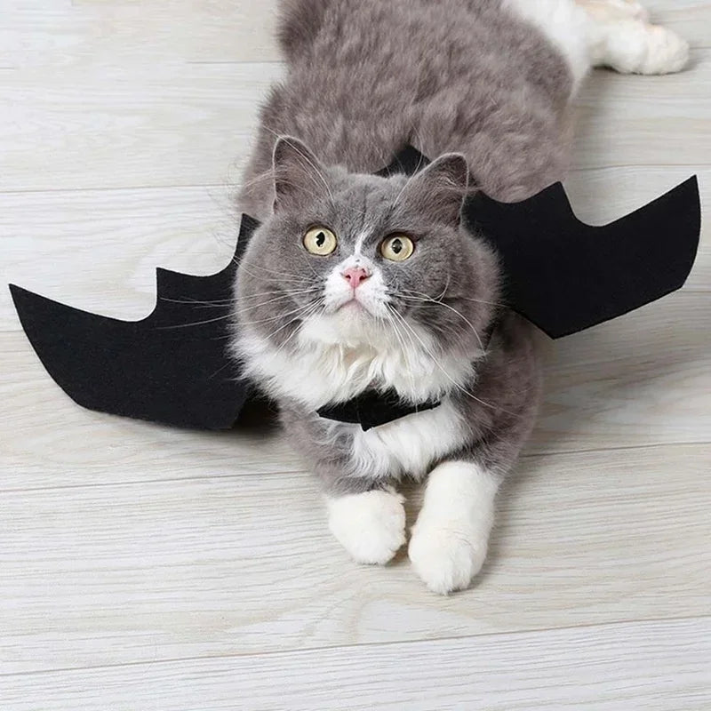 🦇 Halloweenowy Kostium dla Kota – Skrzydła Nietoperza