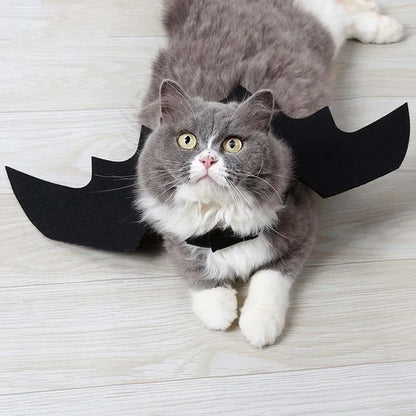 🦇 Halloweenowy Kostium dla Kota – Skrzydła Nietoperza