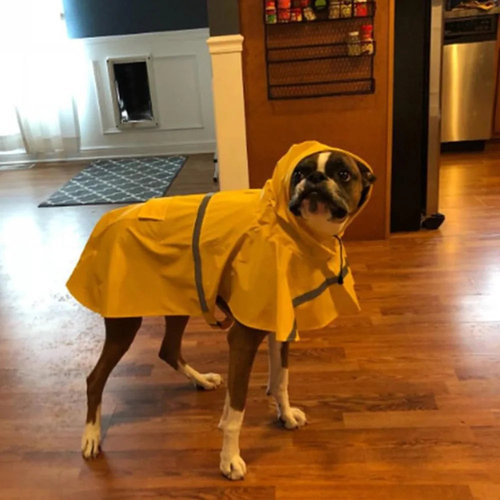 Płaszcz Przeciwdeszczowy dla Psa 🌧️🐶