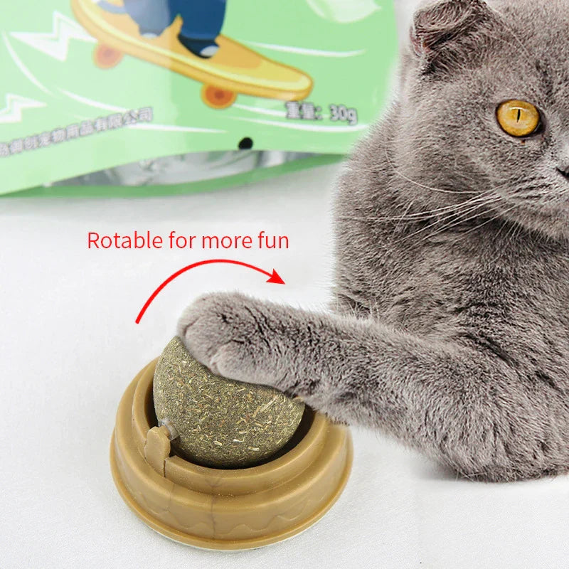 Naturalna Piłka z Kocimiętki – Zdrowa Zabawa dla Twojego Kota 🐱💚