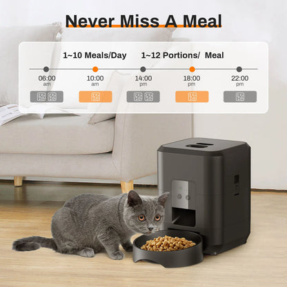 Automatyczny karmnik dla kota z wyświetlaczem LCD 🐱🍲