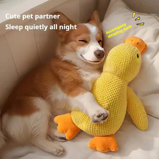 🦆 Interaktywna Kaczka Piszczałka dla Psa – Booteely 🐾