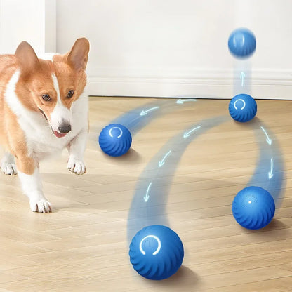 Inteligentna Skacząca Piłka dla Psa 🐶⚡