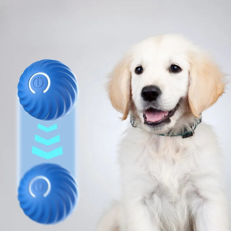 Inteligentna Skacząca Piłka dla Psa 🐶⚡