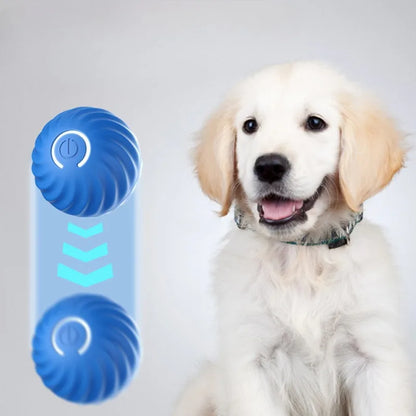 Inteligentna Skacząca Piłka dla Psa 🐶⚡