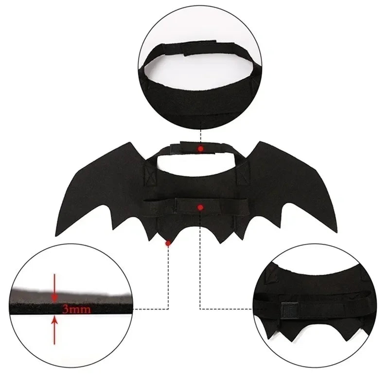 🦇 Halloweenowy Kostium dla Kota – Skrzydła Nietoperza