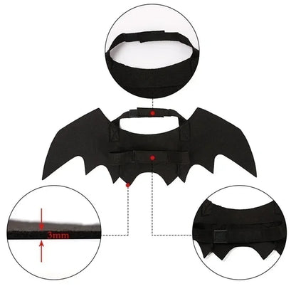 🦇 Halloweenowy Kostium dla Kota – Skrzydła Nietoperza
