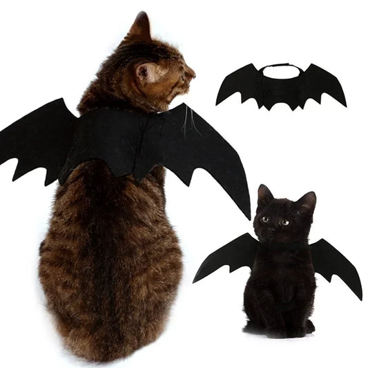 🦇 Halloweenowy Kostium dla Kota – Skrzydła Nietoperza