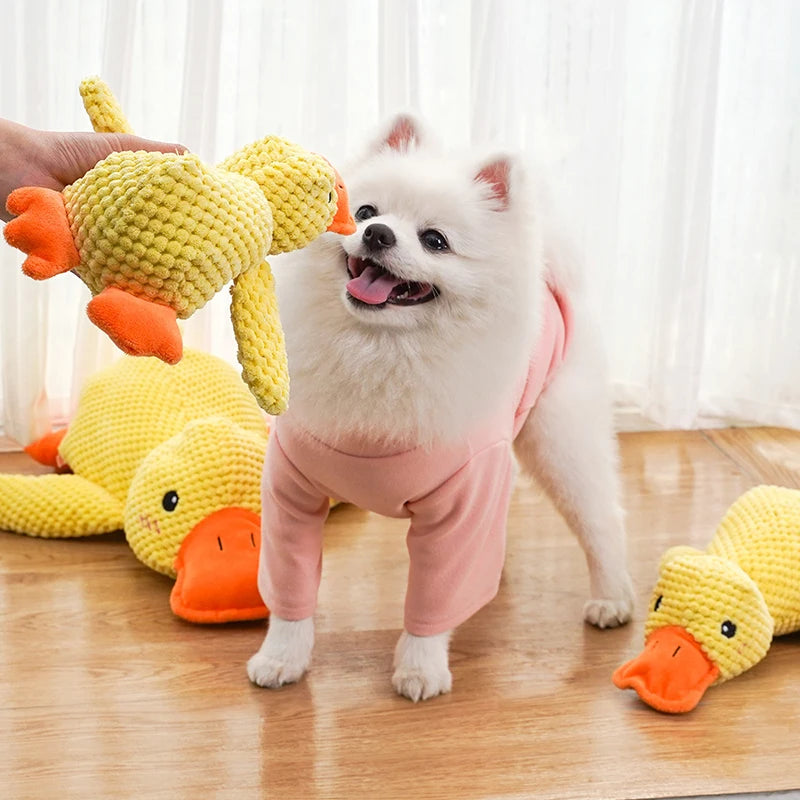 🦆 Interaktywna Kaczka Piszczałka dla Psa – Booteely 🐾