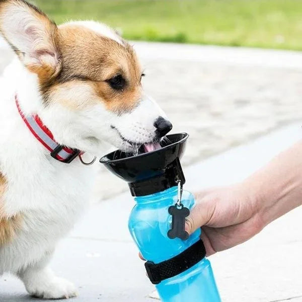 Przenośna Butelka z Wodą dla Psa 🐶💧 – 500ml