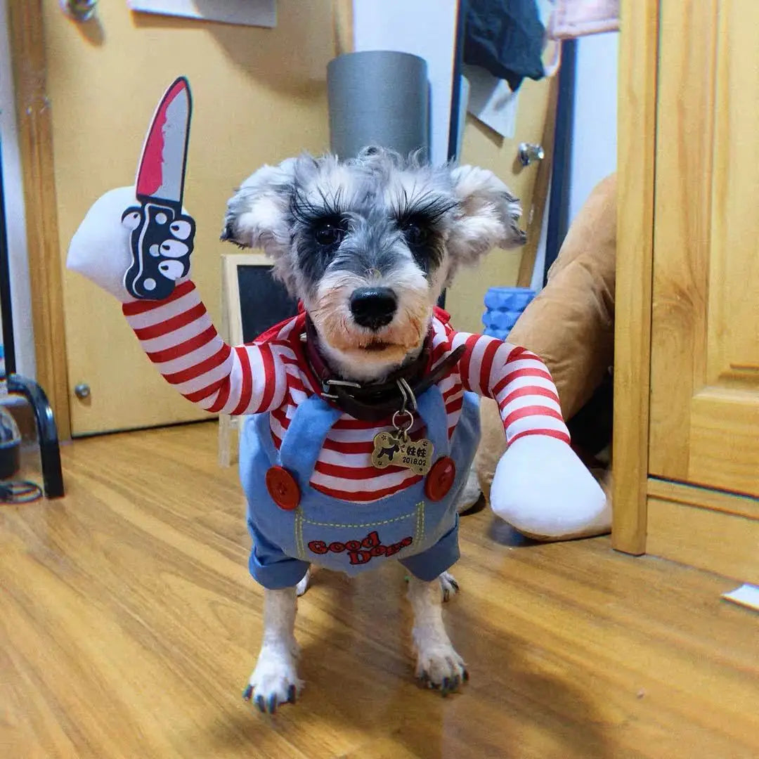 Halloweenowe Ubranko dla Psa 🐶🎃