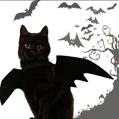 🦇 Halloweenowy Kostium dla Kota – Skrzydła Nietoperza